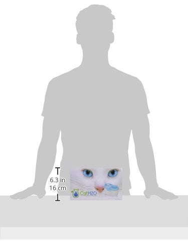 Cat H2O Filtered Cat Water Fountain 67 fl. oz/2.1 Quart with Filter & Dental Care Tablet, Blue/Translucent White