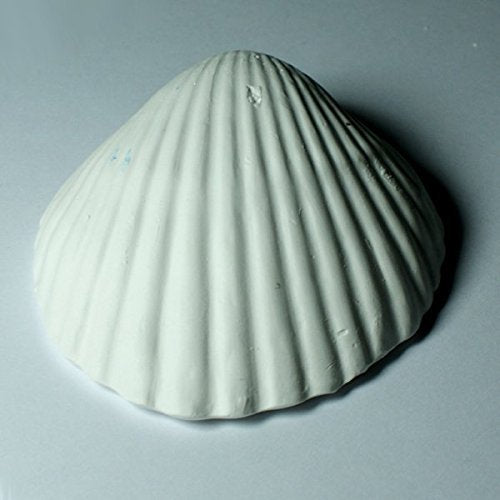 (2 Packages) Weco Wonder Shell Natural Minerals (3 Pack), Small - Total of 6 Shells