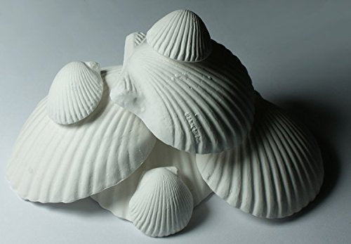 (2 Packages) Weco Wonder Shell Natural Minerals (3 Pack), Small - Total of 6 Shells Main image