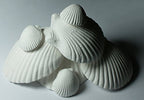 (2 Packages) Weco Wonder Shell Natural Minerals (3 Pack), Small - Total of 6 Shells