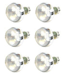 Zoo Med Reptile Basking Spot Lamp 50 Watt - 6 Bulbs Total (3 Packs with 2 per Pack)