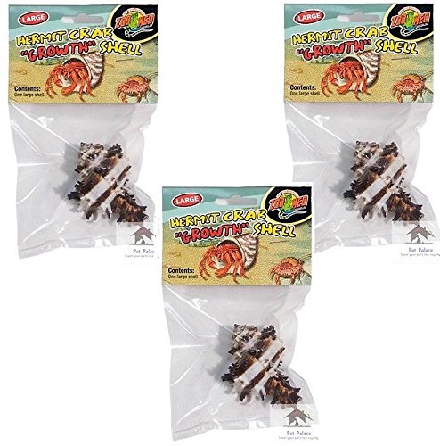 (3 Pack) Zoo Med Hermit Crab Growth Shell Main image