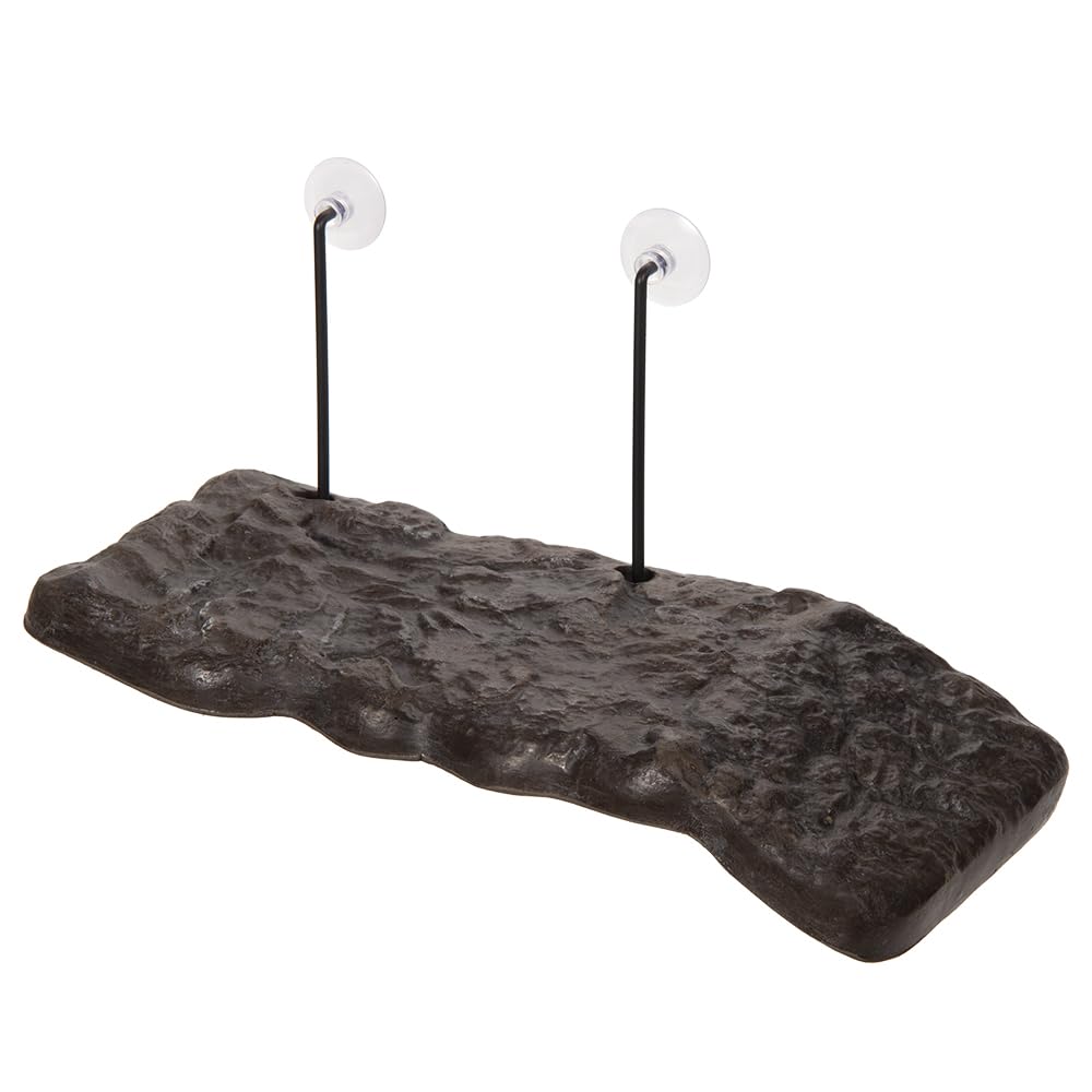 Zoo Med Turtle Dock