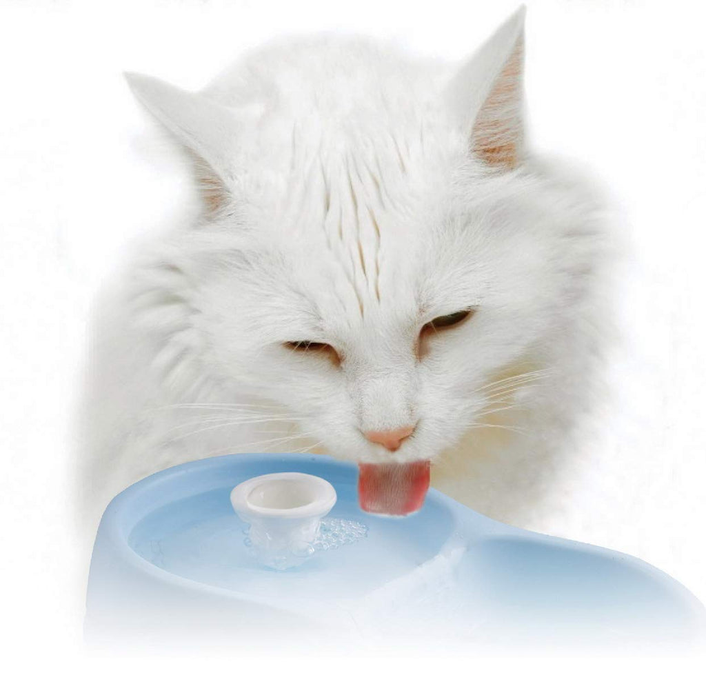 Cat H2O Filtered Cat Water Fountain 67 fl. oz/2.1 Quart with Filter & Dental Care Tablet, Blue/Translucent White
