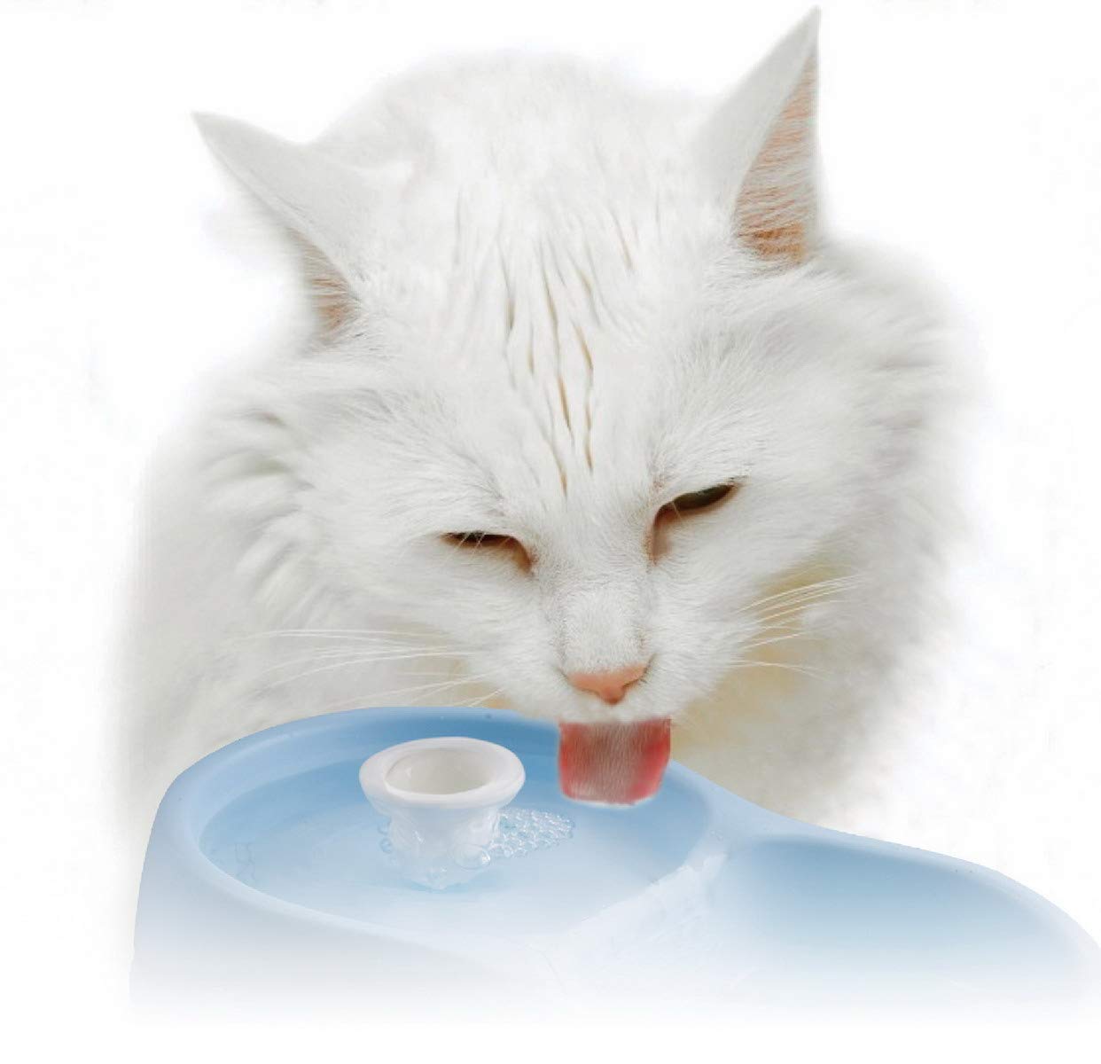 Cat H2O Filtered Cat Water Fountain 67 fl. oz/2.1 Quart with Filter & Dental Care Tablet, Blue/Translucent White