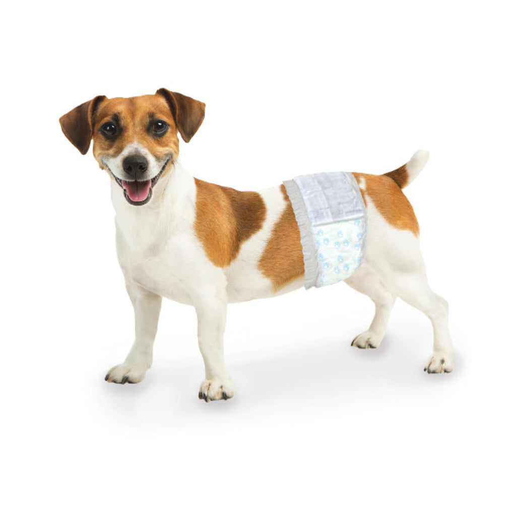 Four Paws Wee-Wee Super Absorbent Disposable Adjustable Dog Potty Training Male Wraps Diapers, Leak-Proof Protection for Puppies and Small Dogs, Extra Small, 36 Count