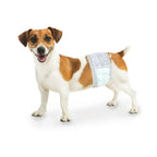 Four Paws Wee-Wee Super Absorbent Disposable Adjustable Dog Potty Training Male Wraps Diapers, Leak-Proof Protection for Puppies and Small Dogs, Extra Small, 36 Count