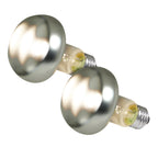 Zoo Med - Bulb BASKING SPOT 100W 2PK