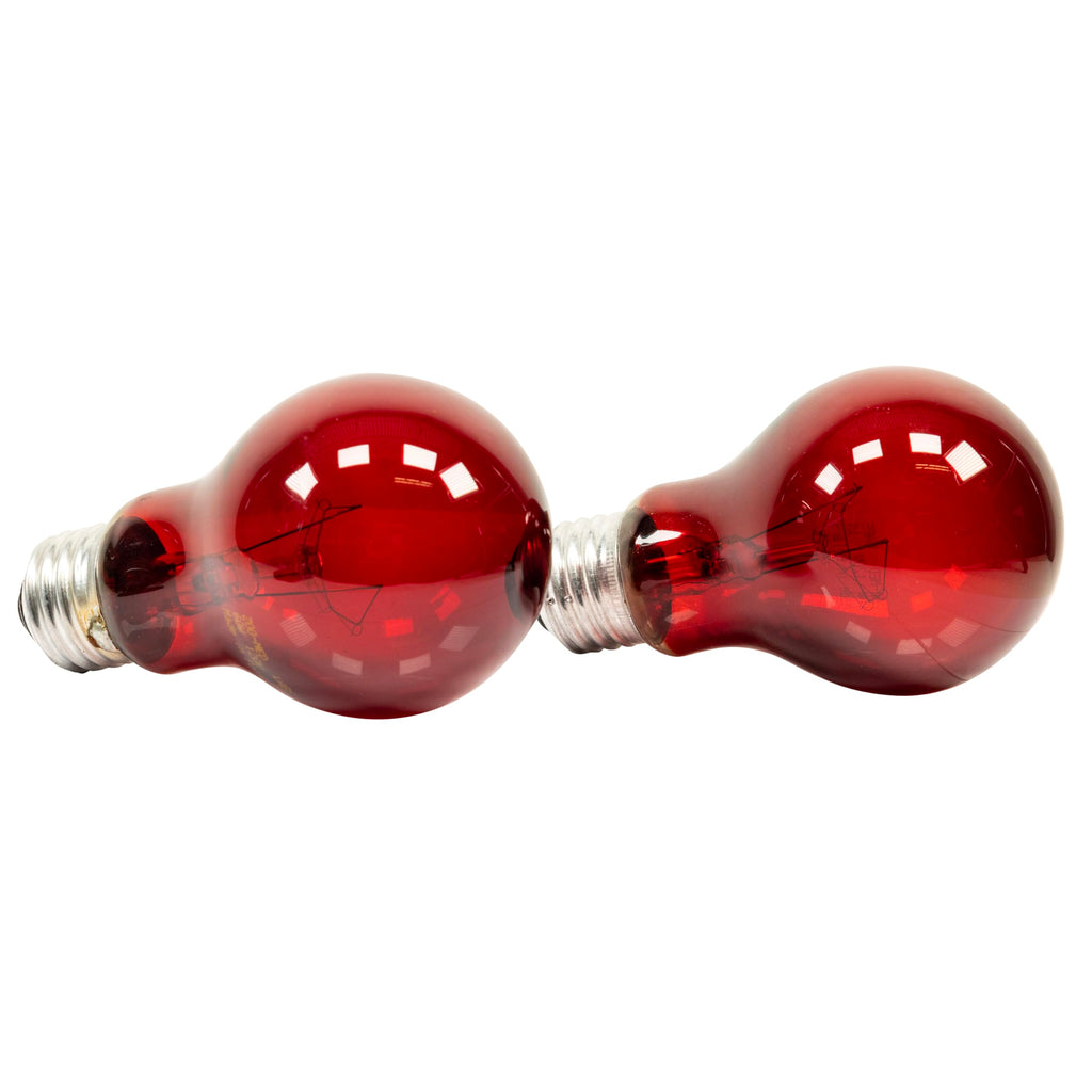 Zoo Med Nightlight Reptile Bulb, 60-watt, Red