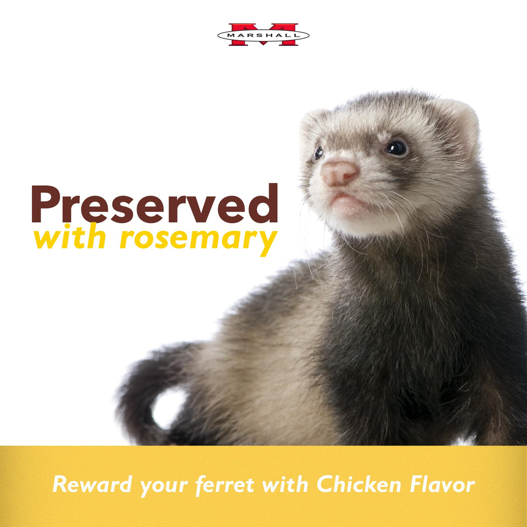 Marshall Bandits Premium Ferret Treats – Original Chicken Flavor – 3 oz Each – Soft, Chewy Snacks for Training, Bonding & Daily Treating – (Pack of 2)