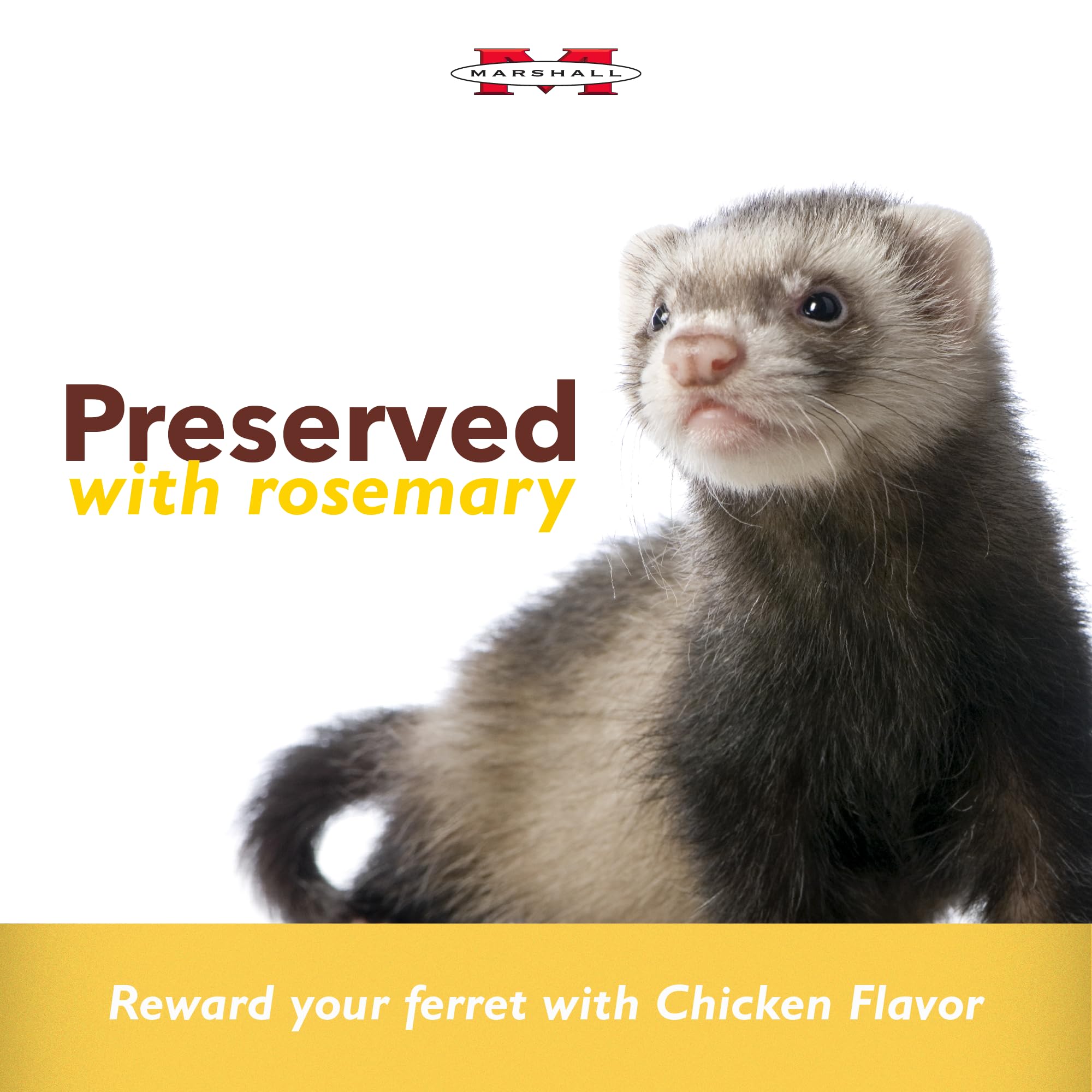 Marshall Bandits Premium Ferret Treats – Original Chicken Flavor – 3 oz Each – Soft, Chewy Snacks for Training, Bonding & Daily Treating – (Pack of 2)