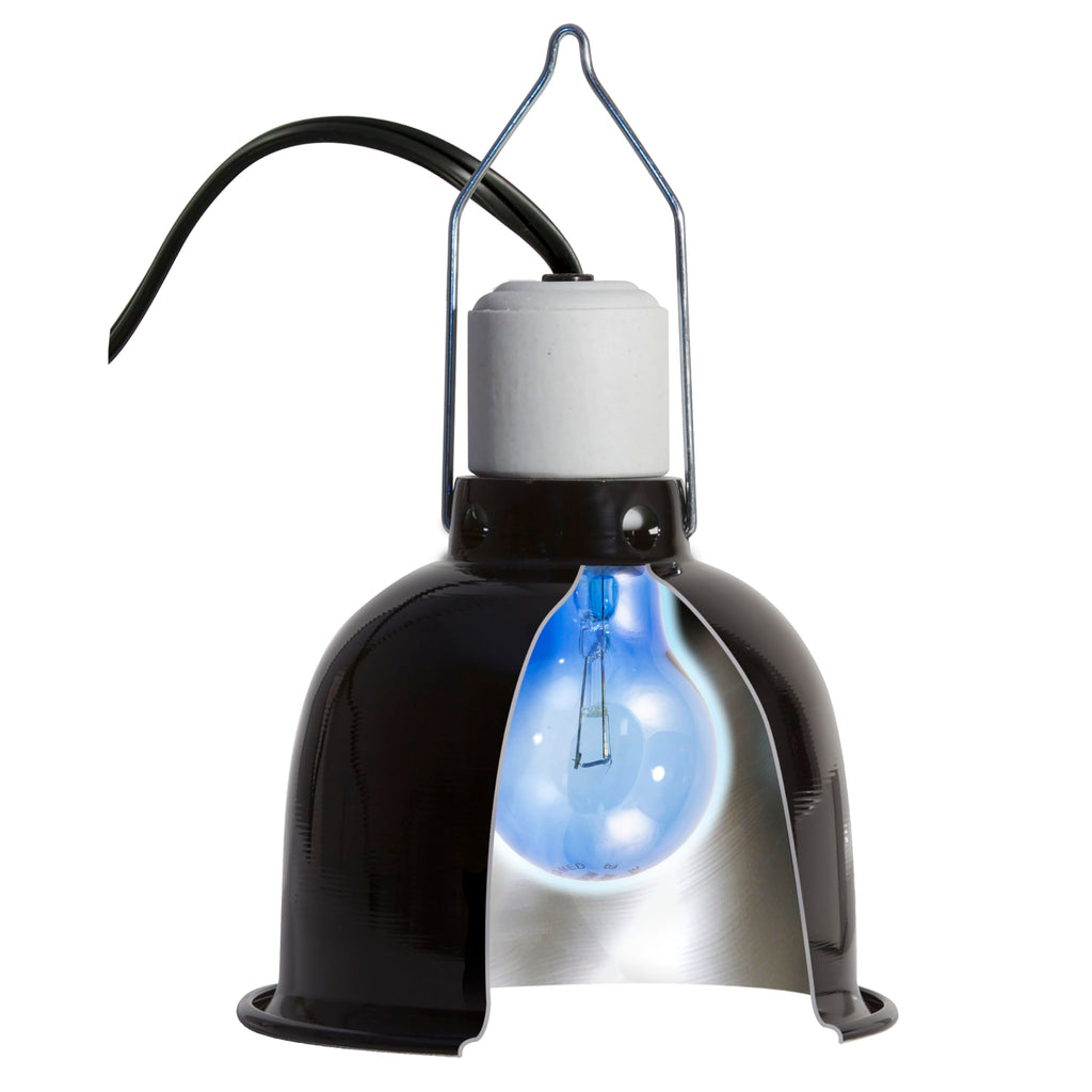 Zoo Med Daylight Blue Reptile Bulb - 40 Watts- Pack of 2