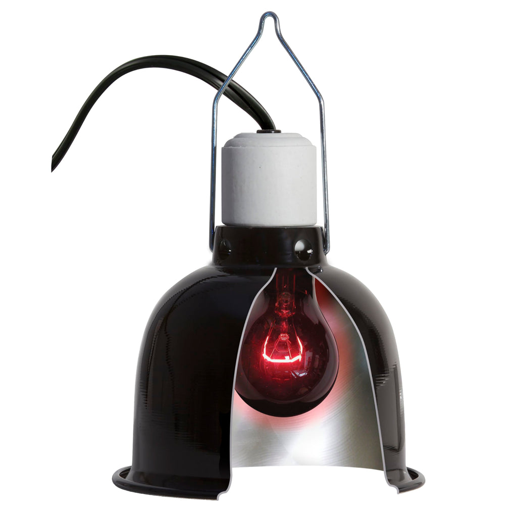 Zoo Med Nightlight Reptile Bulb, 60-watt, Red