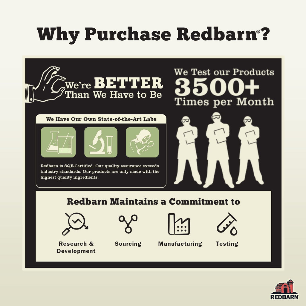 Redbarn Filled Dog Bones, Natural Long-Lasting Dental Treats; Suitable for Aggressive Chewers, Small (3") - 10 Bones (Cheese N' Bacon)