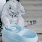 Cat H2O Filtered Cat Water Fountain 67 fl. oz/2.1 Quart with Filter & Dental Care Tablet, Blue/Translucent White