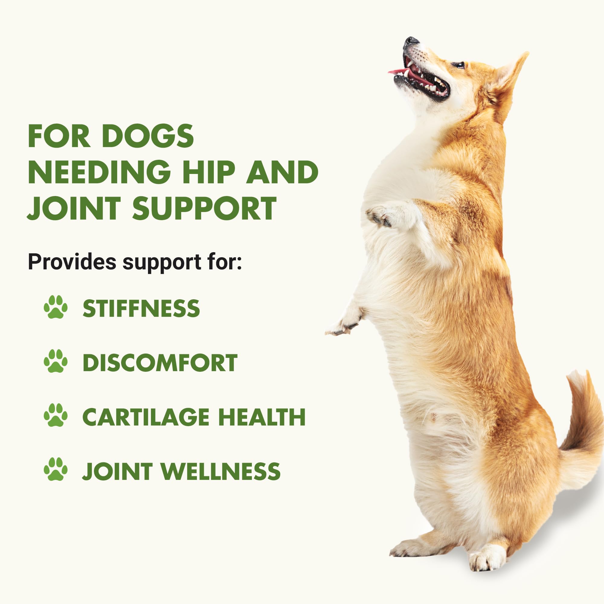 Liquid-Vet by COOL PET Holistics K9 Hip & Joint Advanced Formula, Chicken Flavor, 32 oz (LVDJA-CH-04PK-32U)