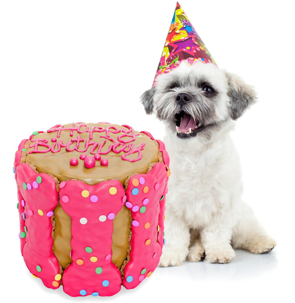 BETAPET Dog Birthday Cake for Dogs to Eat - Rice Cake Based Dessert Made with Dog Birthday Treats and Human Grade Ingredients - Happy Birthday Dog Cake - Dog Birthday Gift for Puppy