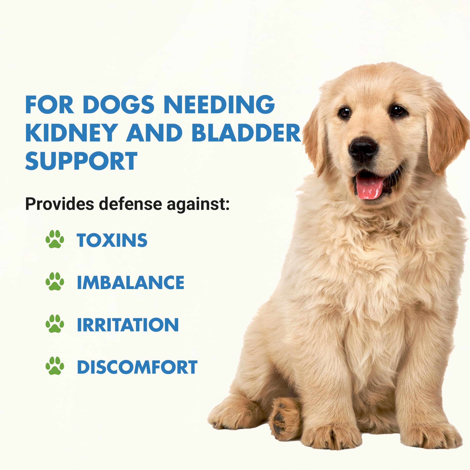 Premium Easy to Dose Liquid for All Dogs with Cranberry & D-Mannose: Comprehensive Dog Formula for Kidney & Bladder Support Main image