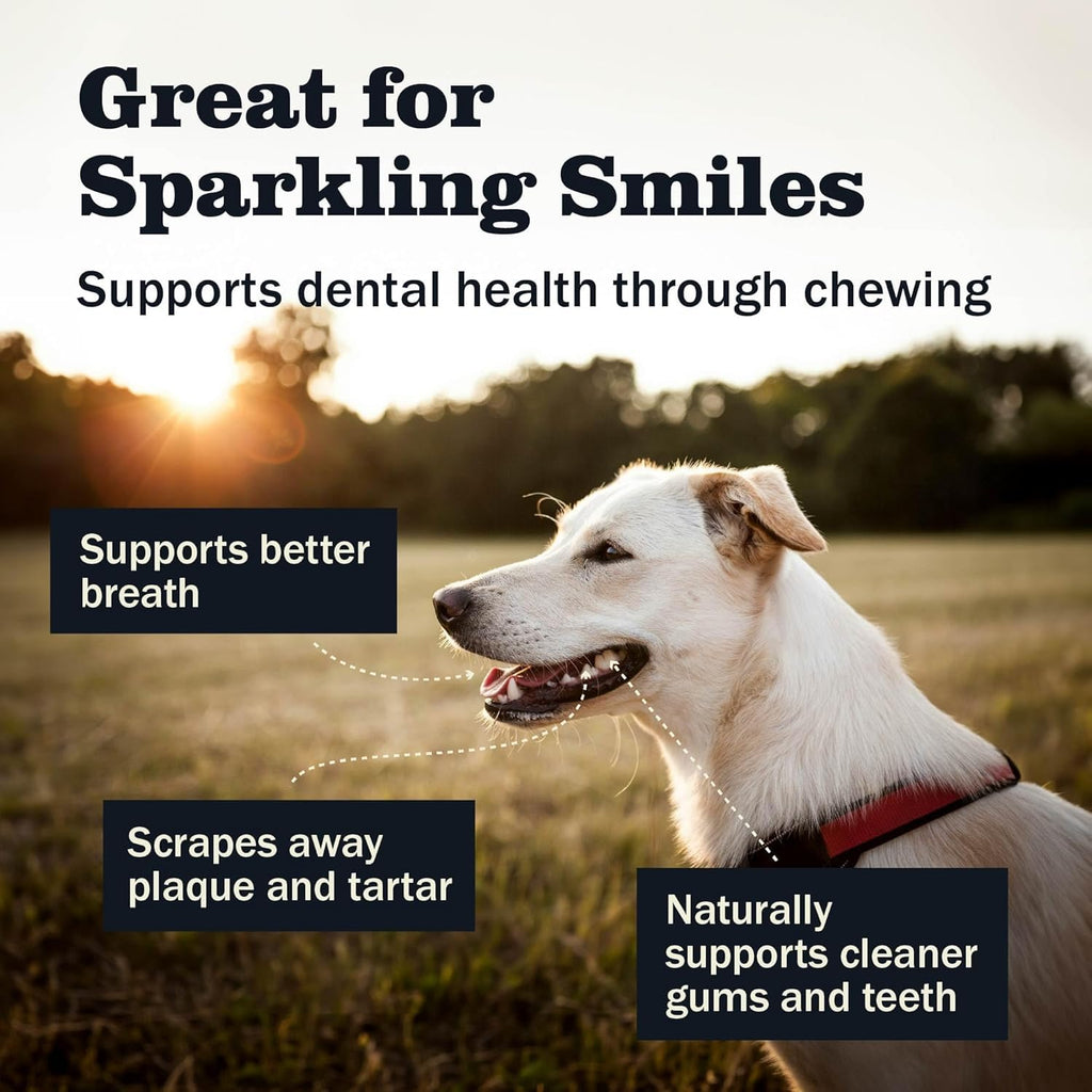 Redbarn Premium Bully Spring for Dogs, 4-6", 3 Count – All-Natural Slow Roasted Single Ingredient Beef Pizzle Pet Chews - Highly Digestible Rawhide Alternative and Long Lasting Spiral Sticks