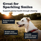 Redbarn Premium Bully Spring for Dogs, 4-6", 3 Count – All-Natural Slow Roasted Single Ingredient Beef Pizzle Pet Chews - Highly Digestible Rawhide Alternative and Long Lasting Spiral Sticks