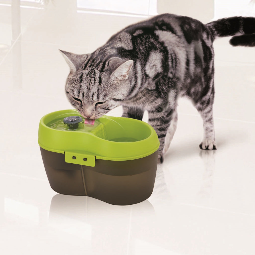 Cat H2O Filtered Cat Water Fountain 67 fl. oz/2.1 Quart with Filter & Dental Care Tablet, Blue/Translucent White