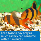 API Bottom Feeder Shrimp Pellet 7.9 Ounce (2 Pack)