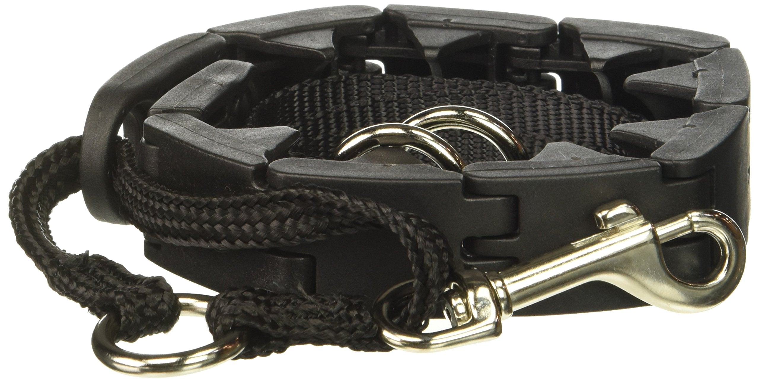 Star Mark Pro-Training Dog Collar, Large - 21" Main image