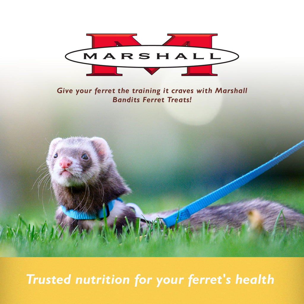 Marshall Bandits Premium Ferret Treats – Original Chicken Flavor – 3 oz Each – Soft, Chewy Snacks for Training, Bonding & Daily Treating – (Pack of 2)