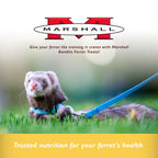 Marshall Bandits Premium Ferret Treats – Original Chicken Flavor – 3 oz Each – Soft, Chewy Snacks for Training, Bonding & Daily Treating – (Pack of 2)