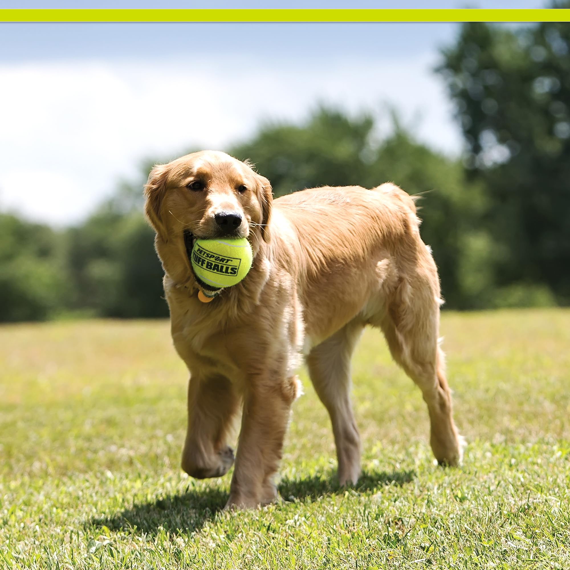 PetSport USA 4" Giant Tuff Balls for Large Dogs [Pet Safe Non-Toxic Industrial Strength Tennis Balls for Exercise, Play Time & Dog Training](3 Pack) Secondary image