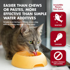 LIQUID-VET by Cool PET Holistics Feline Itch & Allergy Advanced Formula, Chicken Flavor, 8 oz