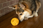 Starmark Treat Dispensing Tetraflex Dog Toy Small