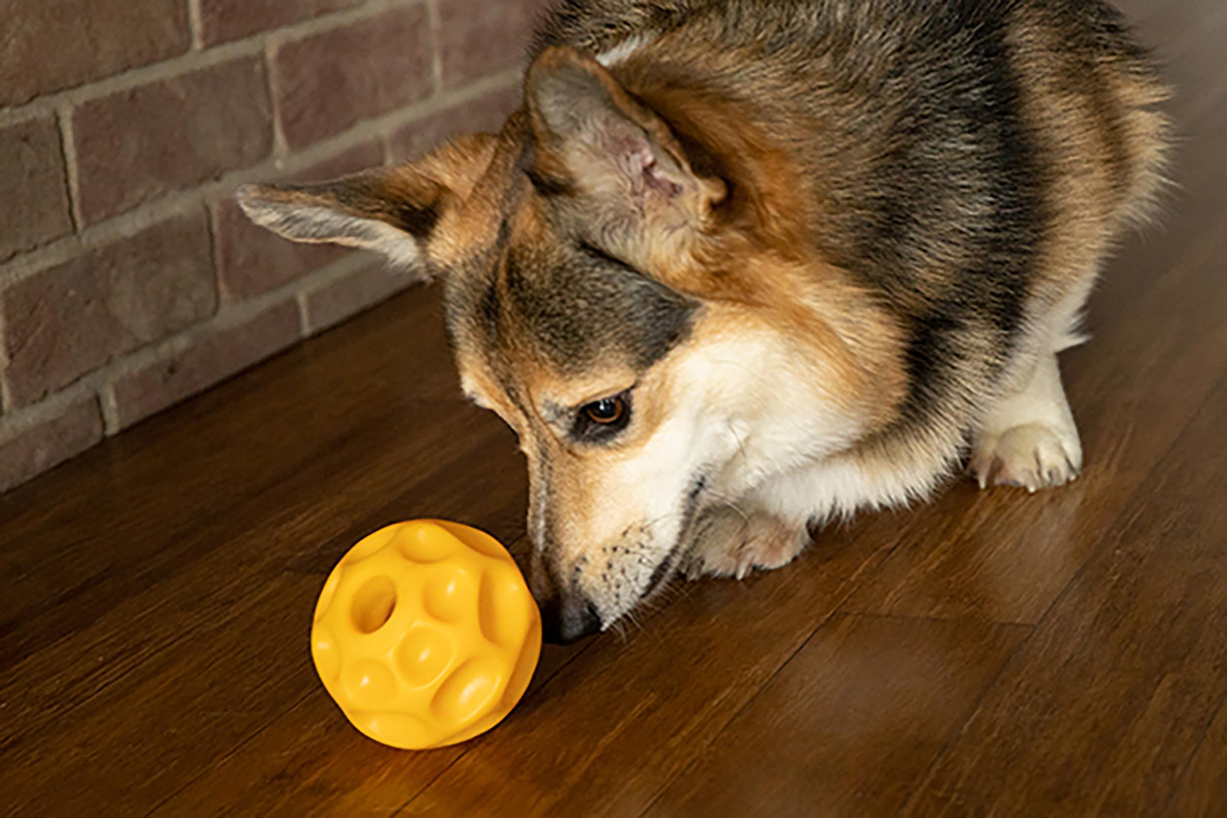 Starmark Treat Dispensing Tetraflex Dog Toy Small