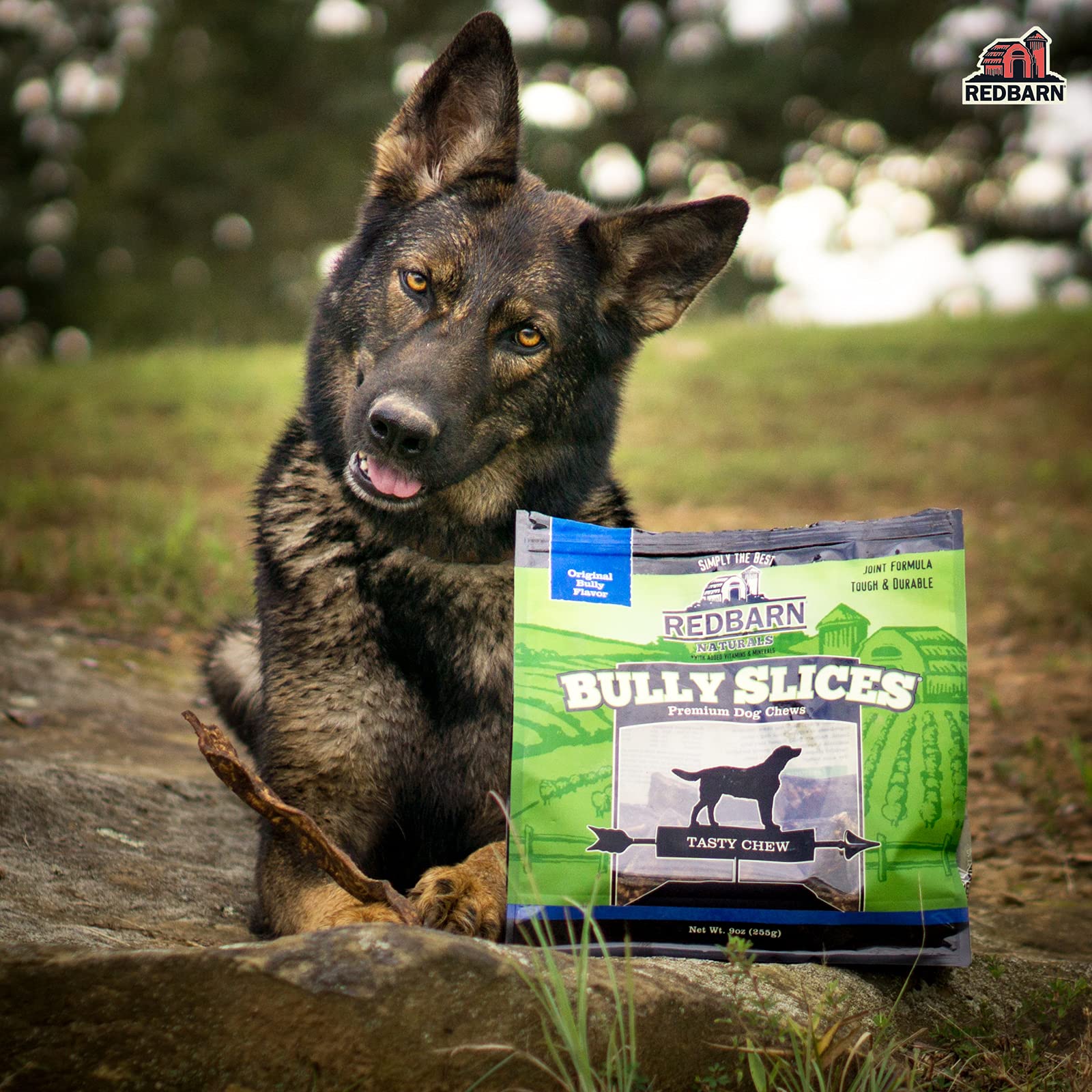 Redbarn Pet Products Bully Slices for Dogs Vanilla Natural Dental Treats 1 Bag