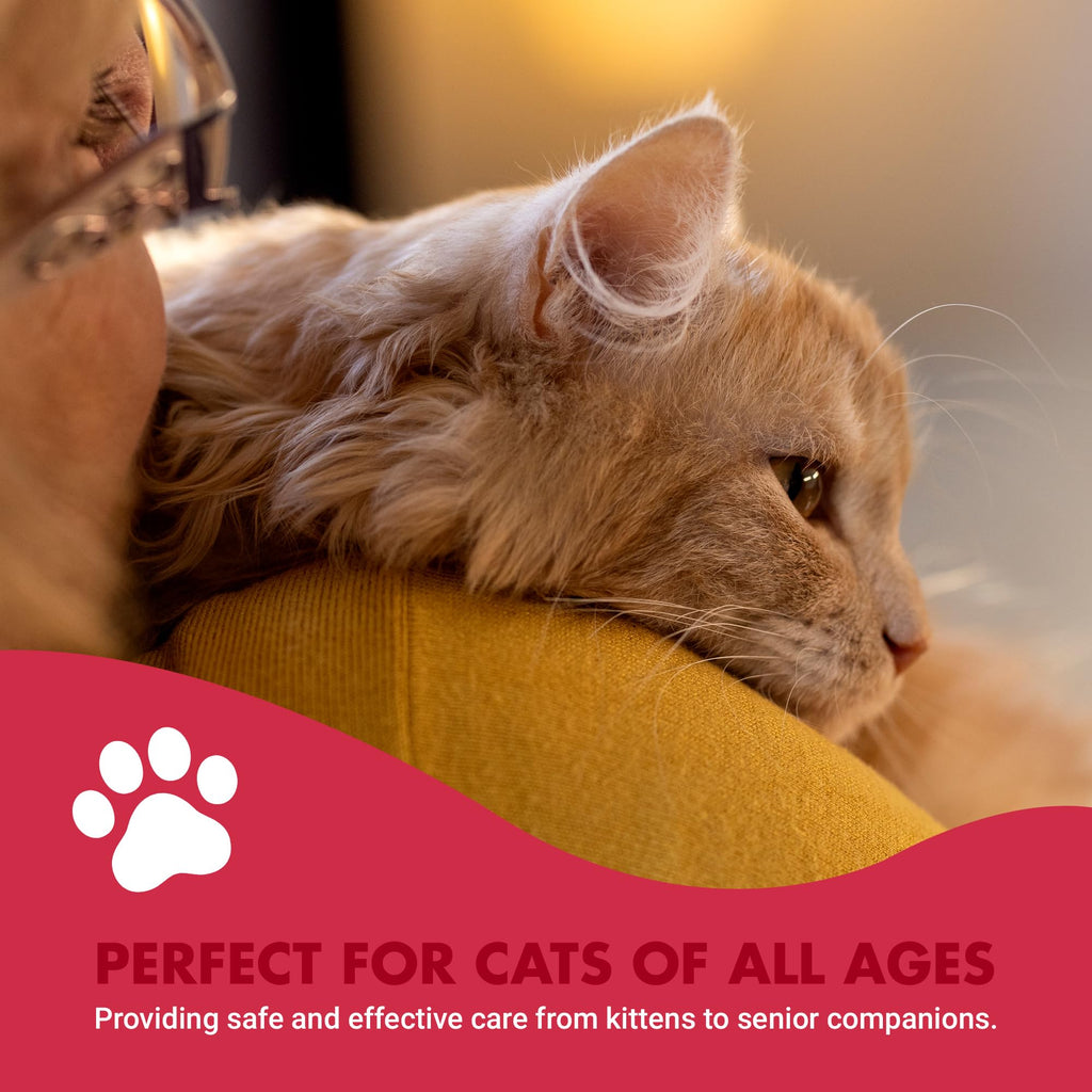 LIQUID-VET by Cool PET Holistics Feline Itch & Allergy Advanced Formula, Chicken Flavor, 8 oz