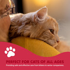 LIQUID-VET by Cool PET Holistics Feline Itch & Allergy Advanced Formula, Chicken Flavor, 8 oz
