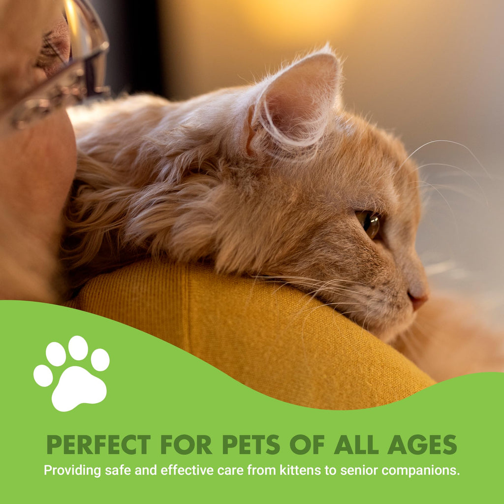 Feline Hip & Joint Advanced Formula, Allergy-Friendly Unflavored, 8 oz