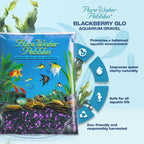 Pure Water Pebbles Blakberry Glo Aquarium Gravel - 5 lbs - Non-Toxic, Colorfast, Vibrant Substrate for Aquariums, Terrariums, Ponds & Crafts