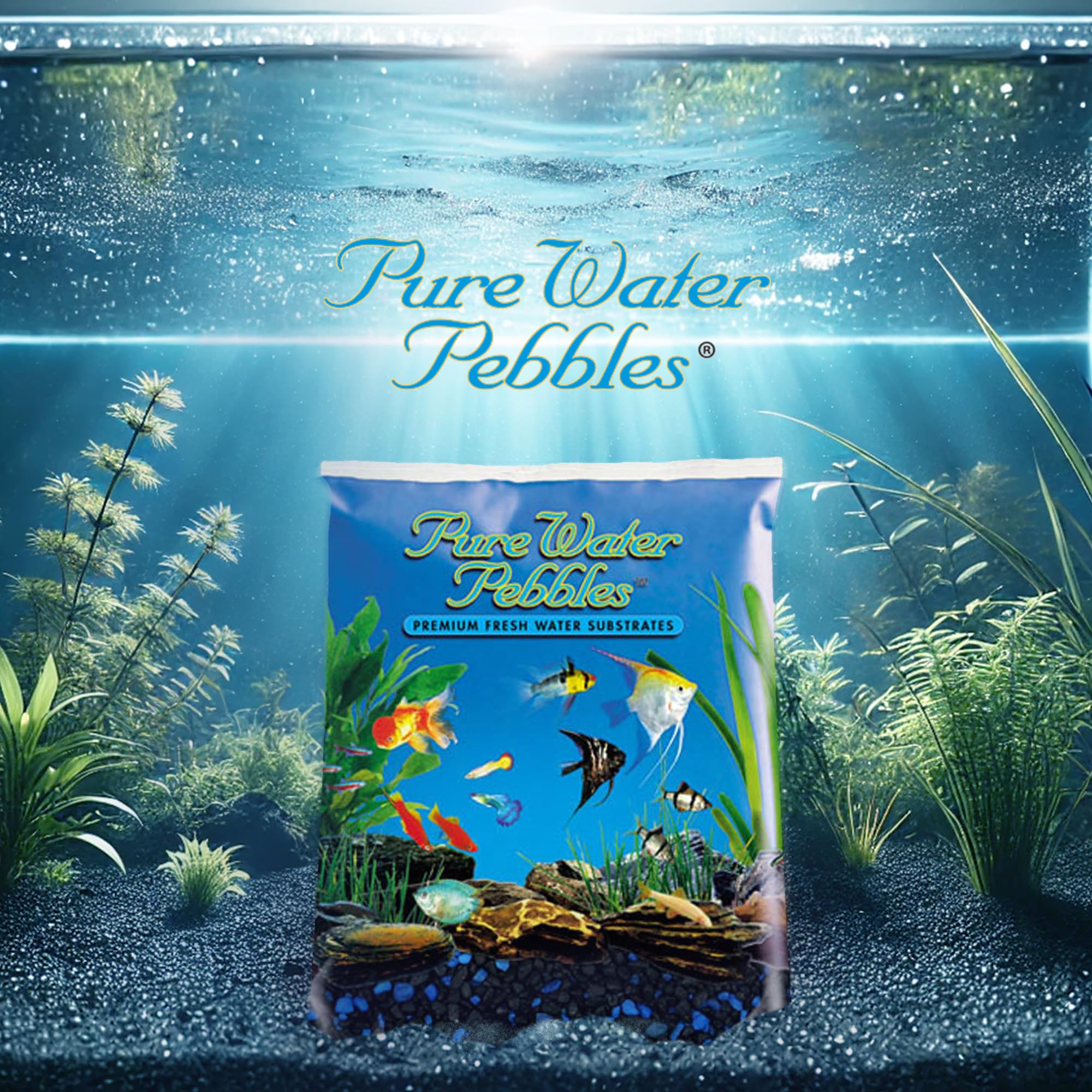 Pure Water Pebbles Blakberry Glo Aquarium Gravel - 5 lbs - Non-Toxic, Colorfast, Vibrant Substrate for Aquariums, Terrariums, Ponds & Crafts