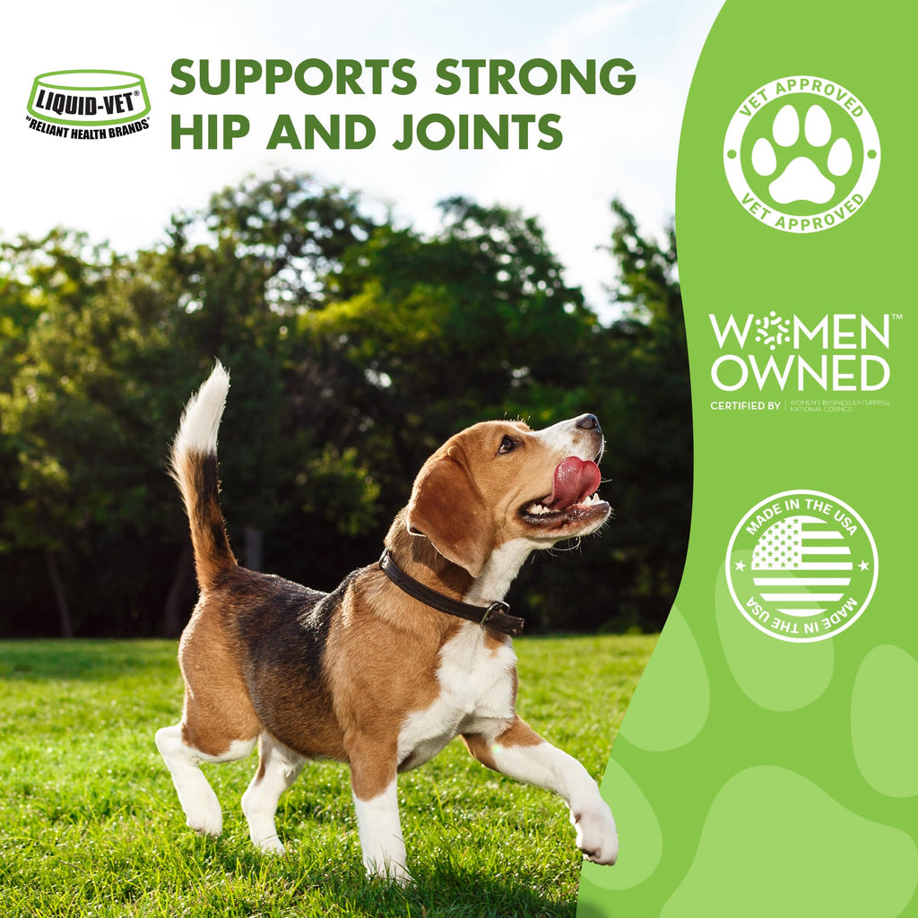Liquid-Vet by COOL PET Holistics K9 Hip & Joint Advanced Formula, Chicken Flavor, 32 oz (LVDJA-CH-04PK-32U)