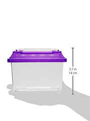 Lee's Kritter Keeper, Mini Rectangle w/Lid ( Colors May Vary )