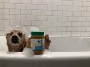 Green Coast Pet Pawnut Butter