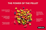 ZuPreem FruitBlend Flavor Pellets Bird Food for Parrots and Conures, 12 lb - Daily Blend Made in USA for Caiques, African Greys, Senegals, Amazons, Eclectus, Small Cockatoos