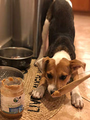 Green Coast Pet Pawnut Butter