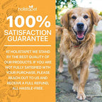 HolistaPet Hemp Mobility Chews for Dogs - Joint & Mobility Care - 30 Soft Chews - 300mg - Made in USA - Powerful Relief with Hemp Oil Turmeric & Boswellia - Organic - Hips & Joint Pain - Inflammation