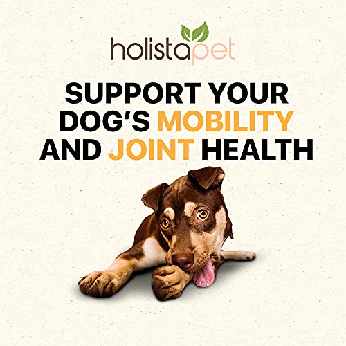 HolistaPet Hemp Dog Treats - Joint & Mobility Care - 30 Crunchy Treats - 600mg - Made in USA - Powerful Relief with Hemp Oil Turmeric & Boswellia - 100% Organic - for Hips & Joint Pain, Inflammation