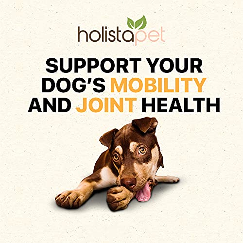 HolistaPet Hemp Dog Treats - Joint & Mobility Care - 30 Crunchy Treats - 300mg - Made in USA - Powerful Relief with Hemp Oil Turmeric & Boswellia - 100% Organic - for Hips & Joint Pain, Inflammation