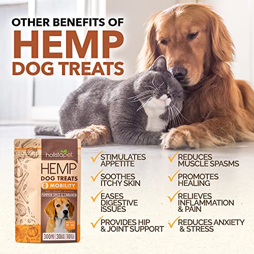 HolistaPet Hemp Dog Treats - Joint & Mobility Care - 30 Crunchy Treats - 300mg - Made in USA - Powerful Relief with Hemp Oil Turmeric & Boswellia - 100% Organic - for Hips & Joint Pain, Inflammation