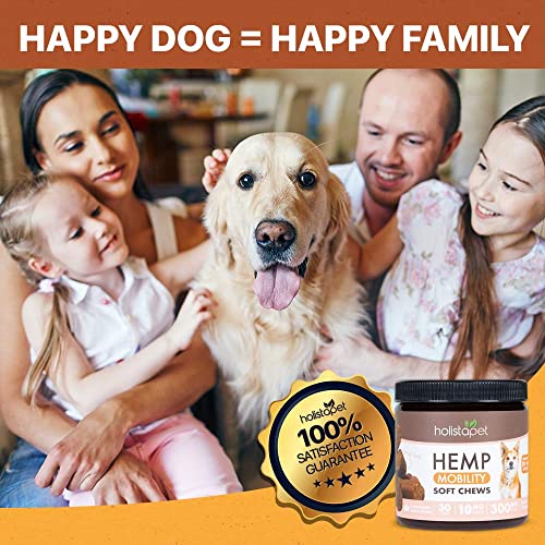 HolistaPet Hemp Mobility Chews for Dogs - Joint & Mobility Care - 30 Soft Chews - 300mg - Made in USA - Powerful Relief with Hemp Oil Turmeric & Boswellia - Organic - Hips & Joint Pain - Inflammation