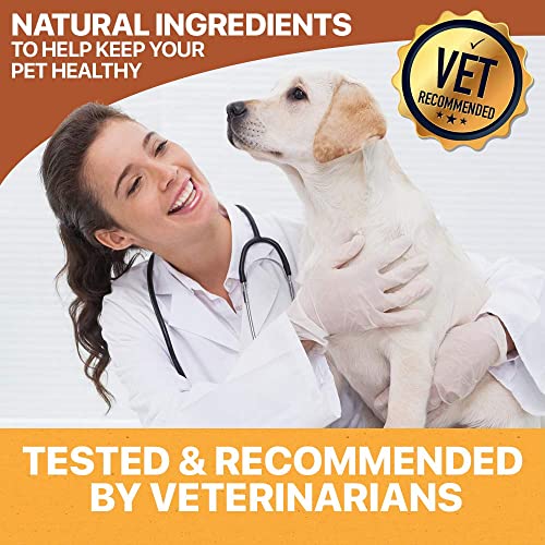 HolistaPet Hemp Mobility Chews for Dogs - Joint & Mobility Care - 30 Soft Chews - 300mg - Made in USA - Powerful Relief with Hemp Oil Turmeric & Boswellia - Organic - Hips & Joint Pain - Inflammation